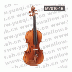 红棉V016型 云杉木面板虎纹枣木配件乌木指板3/4中级小提琴