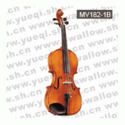 红棉V182型 云杉木面板仿乌木配件3/4初学小提琴