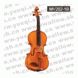 红棉V202型 云杉木面板虎纹乌木配件3/4中级小提琴