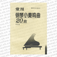 常用钢琴小奏鸣曲20首――钢琴家之旅丛书