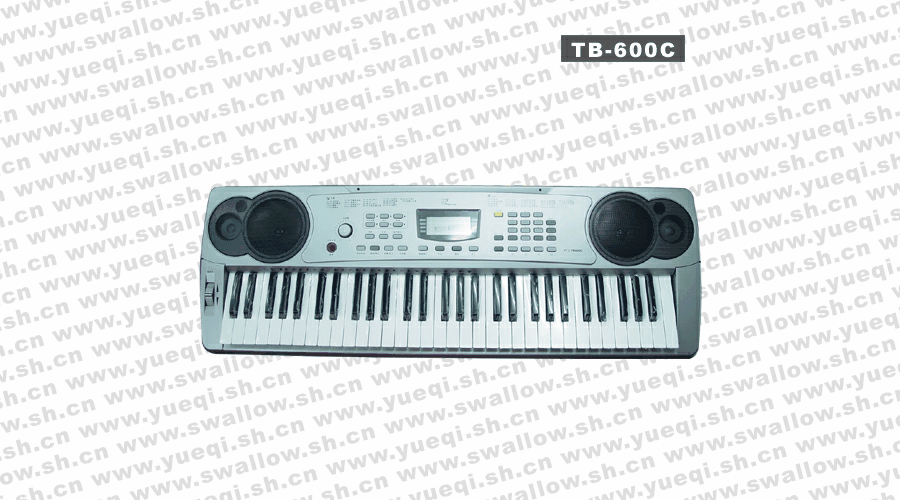 ����(RINGWAY)TB-600C��61��������