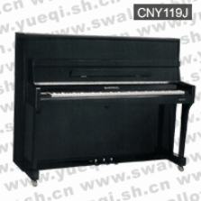凯尼亚牌钢琴-CNY119J凯尼亚钢琴-黑色直脚立式119凯尼亚钢琴